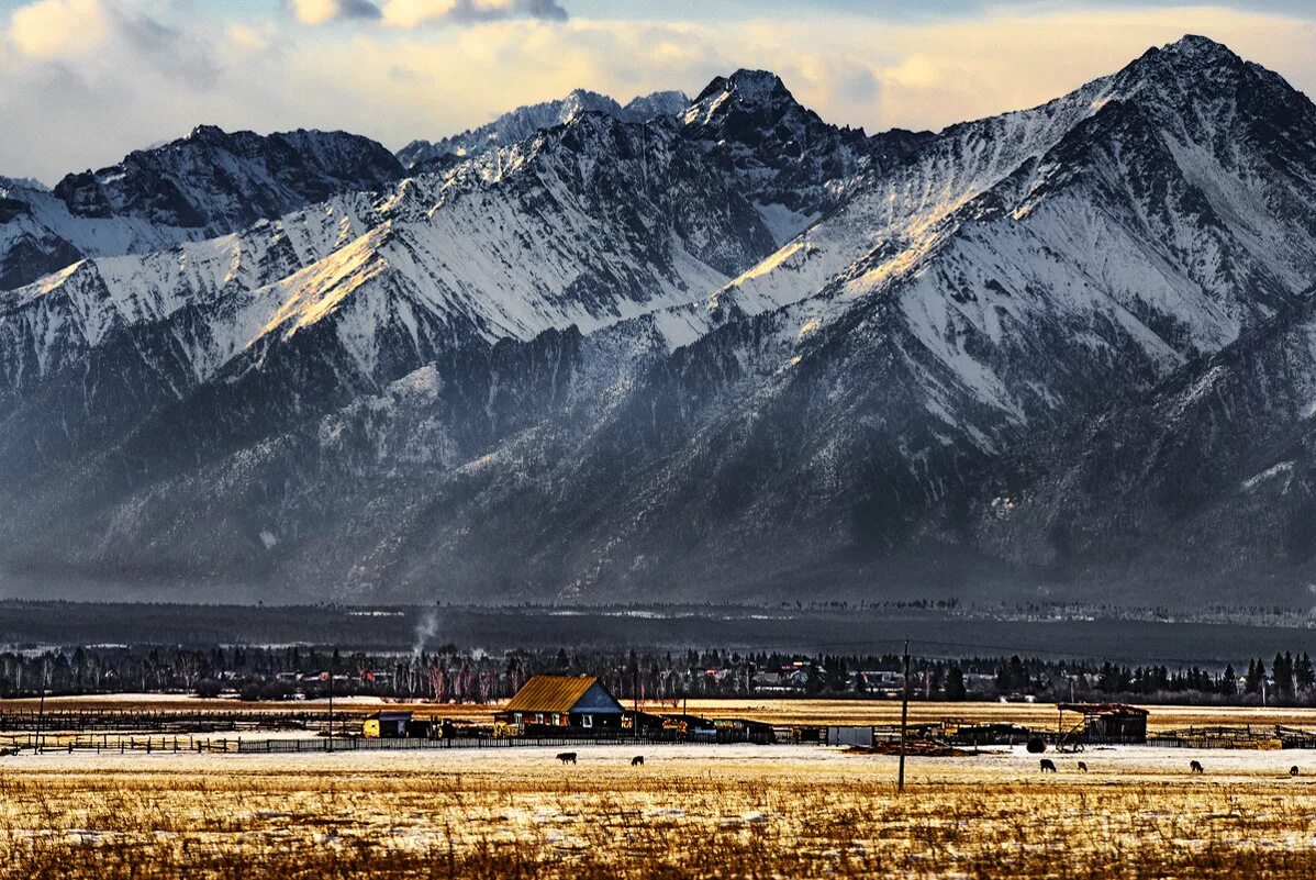 саян уголь. месторождение олимпиадинское красноярский край. саян уголь. чара угольный разрез. саян уголь.