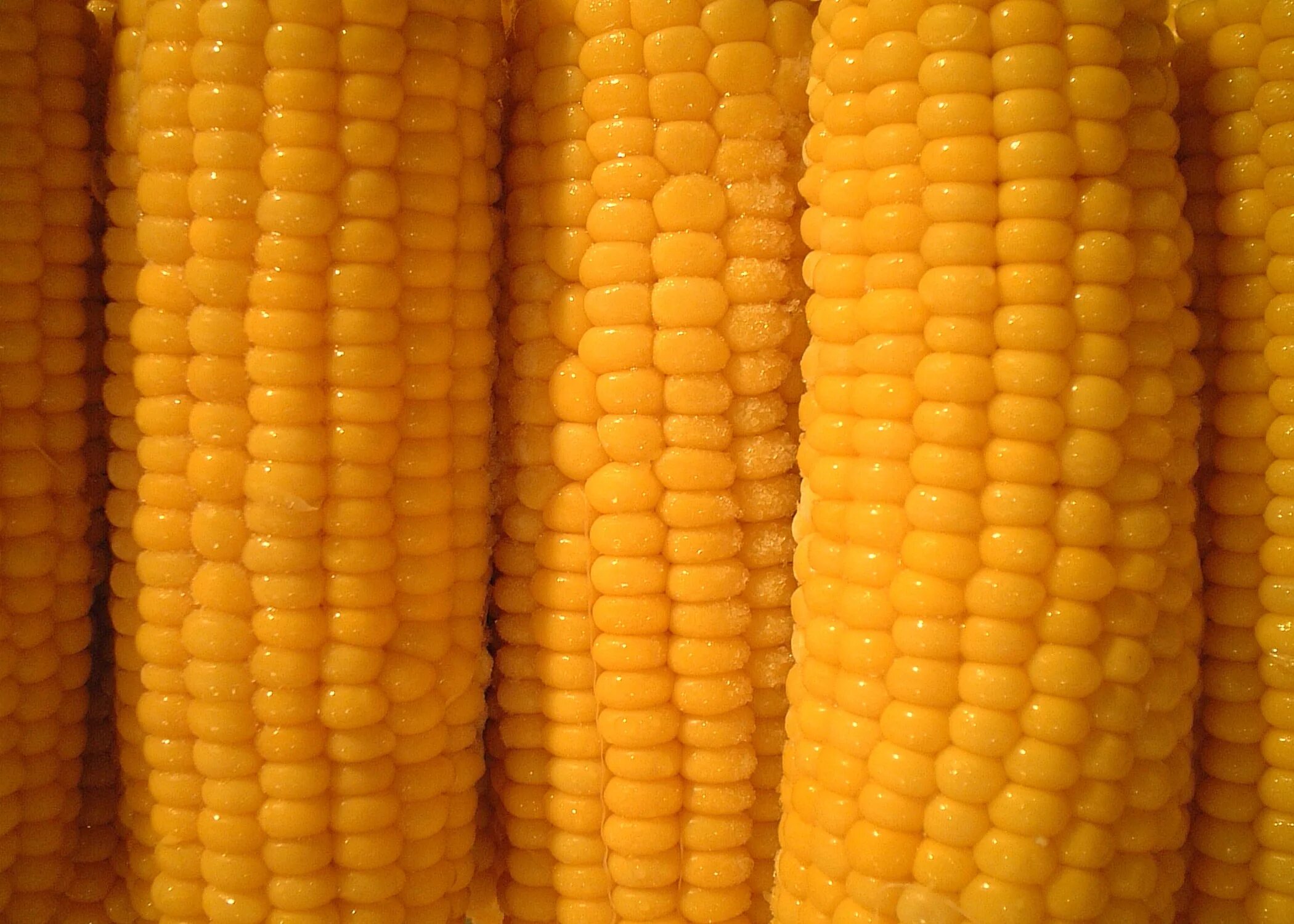 X corn