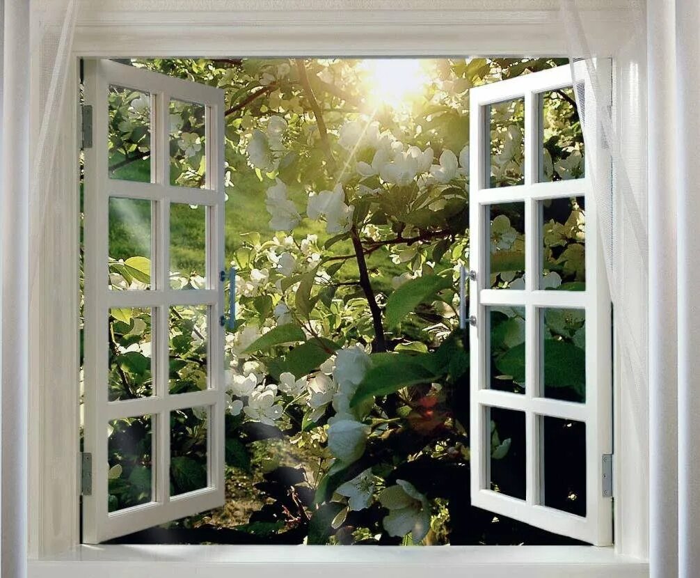 открой окно на 7. открой окно на 7. окно с видом на море. окно в природу. открытое окно.