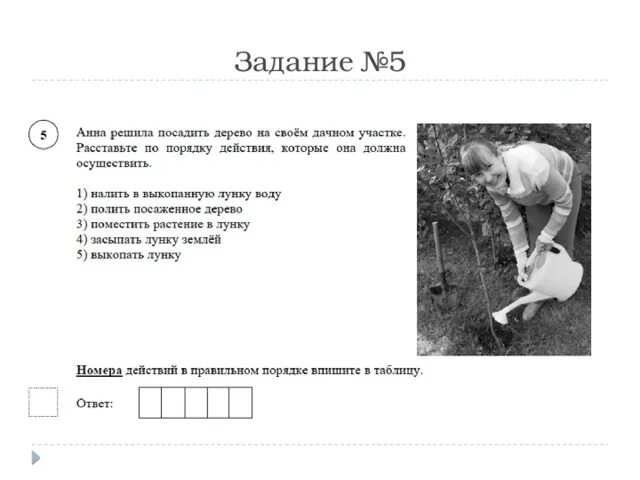 Дерево посажено впр 8 класс. Расставьте действия в правильном порядке посадка дерева. Порядок действий посадки дерева 5 класс. Расставьте по порядку действия, которые должен осуществить. Расставьте действия в нужном порядке алгоритм посадка дерева.