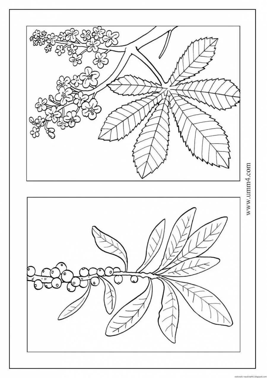 Раскраска на 4 листах а4. Раскраски для детей. Раскраски для детей а4. Раскраски для детей двойные. Раскраска на 4 листах а4.