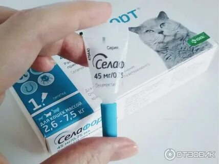 Силофорт