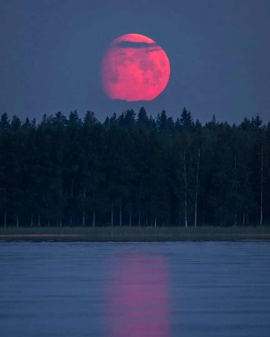 Кровавая Луна явление. Полнолуние суперлуние, Кровавая Луна. Кровавая Луна 2022. Красная Луна явление.