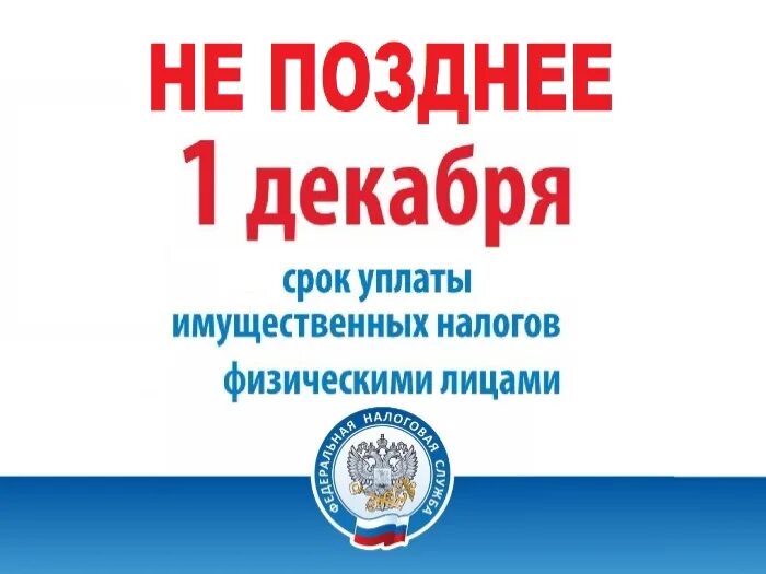 Когда платить налоги физическим лицам в 2025. Имущественные налоги. срок уплаты налога. оплати налоги до 1 декабря. срок уплаты налога картинки.