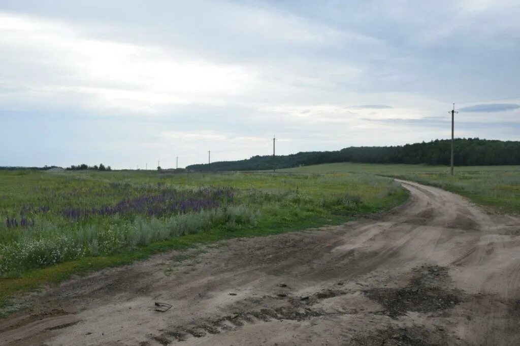 Поповка саратовская область саратовский район