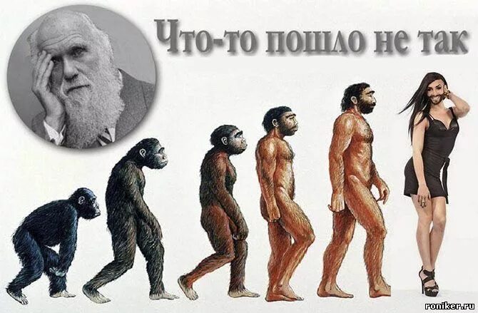 Процесс превращения человека в обезьяну. Превращение обезьяны в человека. Человек превращается в обезьяну. Картина превращение обезьяны в человека. Обезьяну превратили в человека.