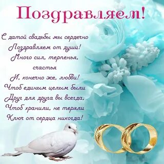 Свадьба 53 поздравления