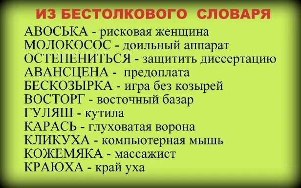 Бестолковый почему. Бестолковый словарь словарь. Бестолковый словарь русского языка. Бестолковый словарь приколы. Игра «бестолковый словарь».