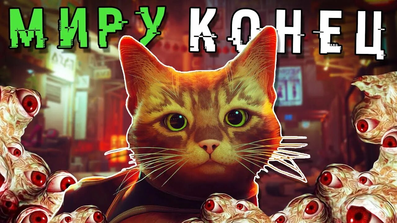 Кот разрушил. Котик сжигает мир. кот в разбомбленном городе. кот из стрей. кот сожги их всех коты.