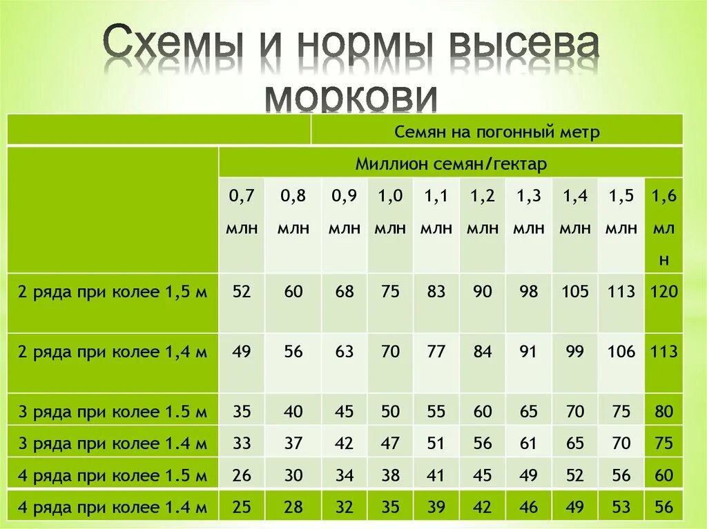 Норма высева семян. Норма высева семян на га. Норма высева семян на 1 га. Норма высева моркови на га. Расход семян на сотку