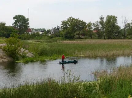 Новости киевская область
