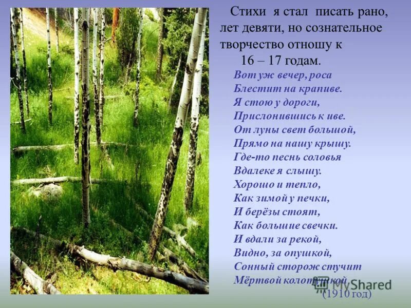 сергей александрович есенин вот уж вечер роса. стихи есенина о природе. березы стоят как большие свечки. есенин роса. роса блестит на крапиве фото.