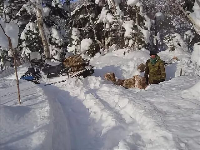 Видео жизнь охотника. Сибирские Таежные охотники. Охотники промысловики в тайге. Сибирские охотники промысловики. Таежники промысловики.