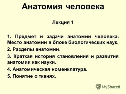Анатомия практические работы
