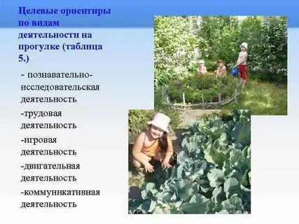 Организация деятельности на прогулке