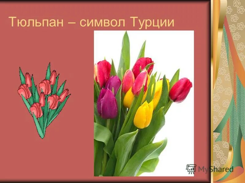 Тюльпаны это символ