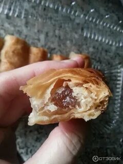 Пятерочка улитка греческая