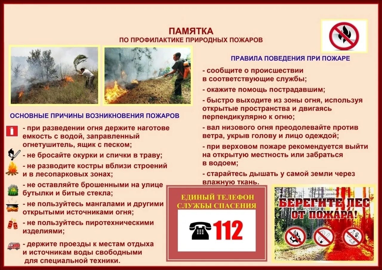 Что такое профилактика пожаров. Профилактика пожаров. предупреждение природных пожаров. памятка по пожарной безопасности. мероприятия по предупреждению природных пожаров.