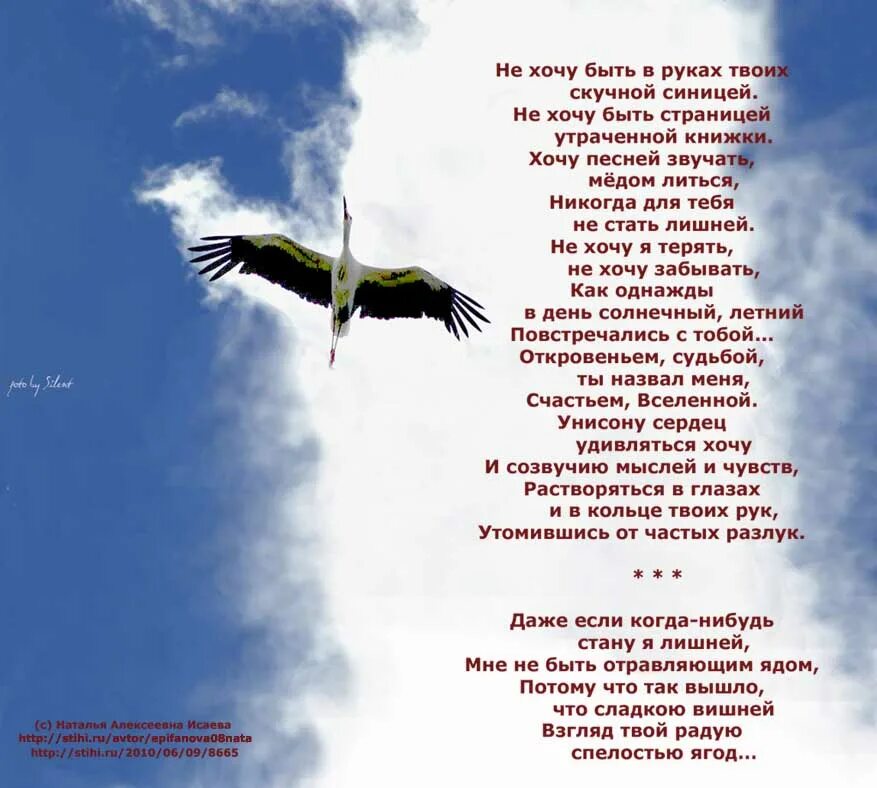 Руки поэзия. В твоих руках стихи. Всё в твоих руках стихи. Твоя жизнь в твоих руках стих. Моя рука в твоей руке стих.