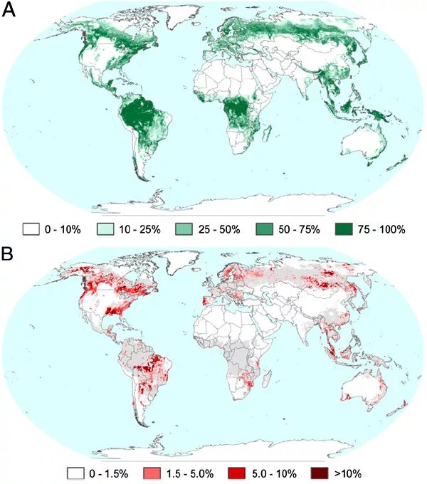 В каких странах есть леса. Карта вырубки лесов. Сокращение площади лесов карта.