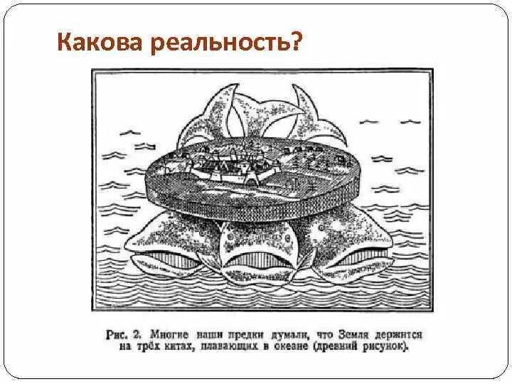 Девушка ожидание реальность. Собственной реальности. Реальность какова она. Иллюзия жизни. Ожидание реальность.