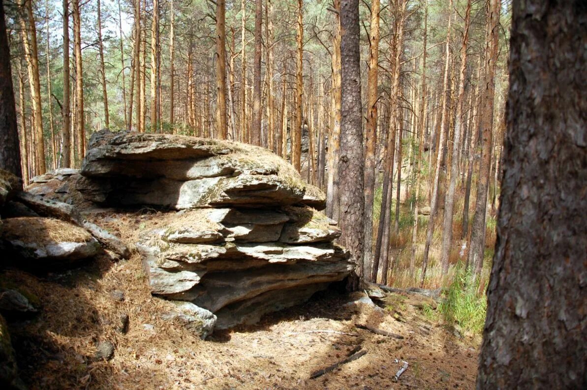 Чашковка городище каменных. Каменное городище. Чёртово городище пермский край. Чашковка городище каменных. Ильменский заповедник каменное городище.