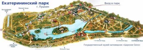 Карта александровского парка в пушкине