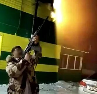 Напуганные выстрелами