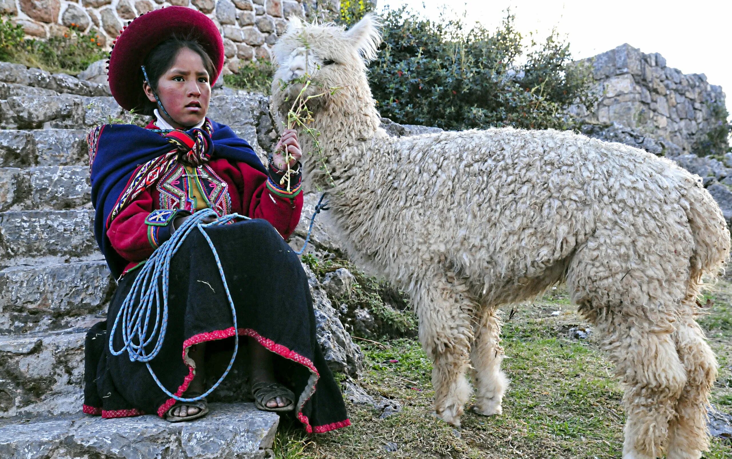 Жена лама. Лама чили. Перуанцы народ южной америки. Далай лама. Лама оле нидал в молодости.