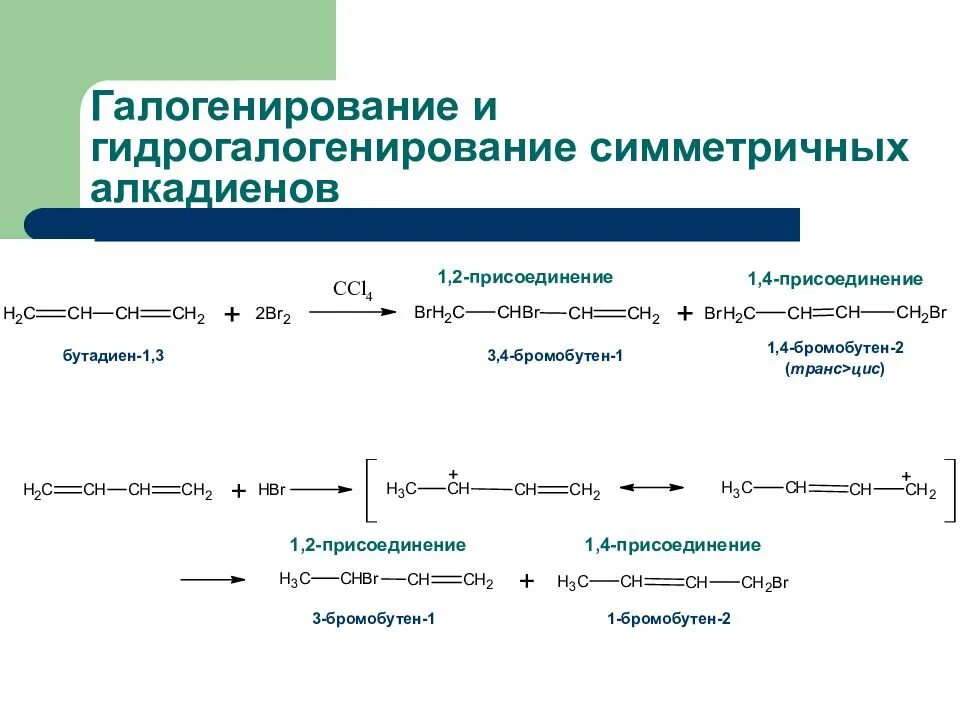 В реакцию гидрогалогенирования вступает. Галогенирование алкадиенов. Гидрогалогенирование алкадиенов. Алкадиены гидрогалогенирование. Гидрогалогенирование алкадиенов механизм.