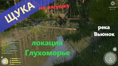 Где ловить на вьюнке