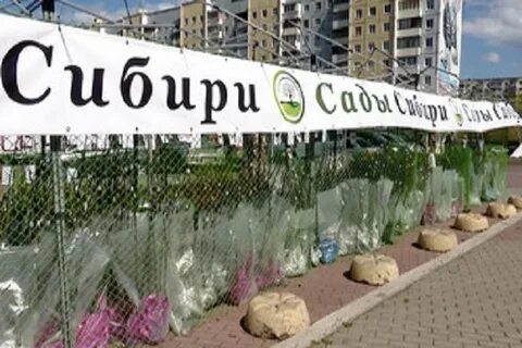 Сады сибири иркутск