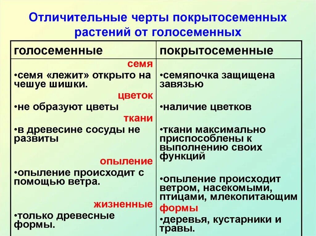 Различия голосеменных и покрытосеменных таблица. Отдел Покрытосеменные общая характеристика. Отличия голосеменных от покрытосеменных таблица 6 класс. Отличительные особенности покрытосеменных от голосеменных. Какие черты различия характерны для