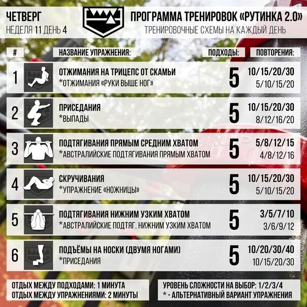 Программа на 5 тренировок в неделю. Программа тренировок рутинка. программа отжиманий. программа тренировок отжимания. подтягивания отжимания приседания программа тренировок.
