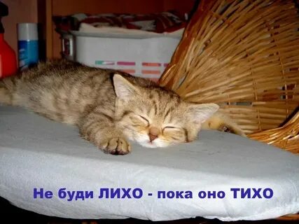 Не лихо ходит тихо