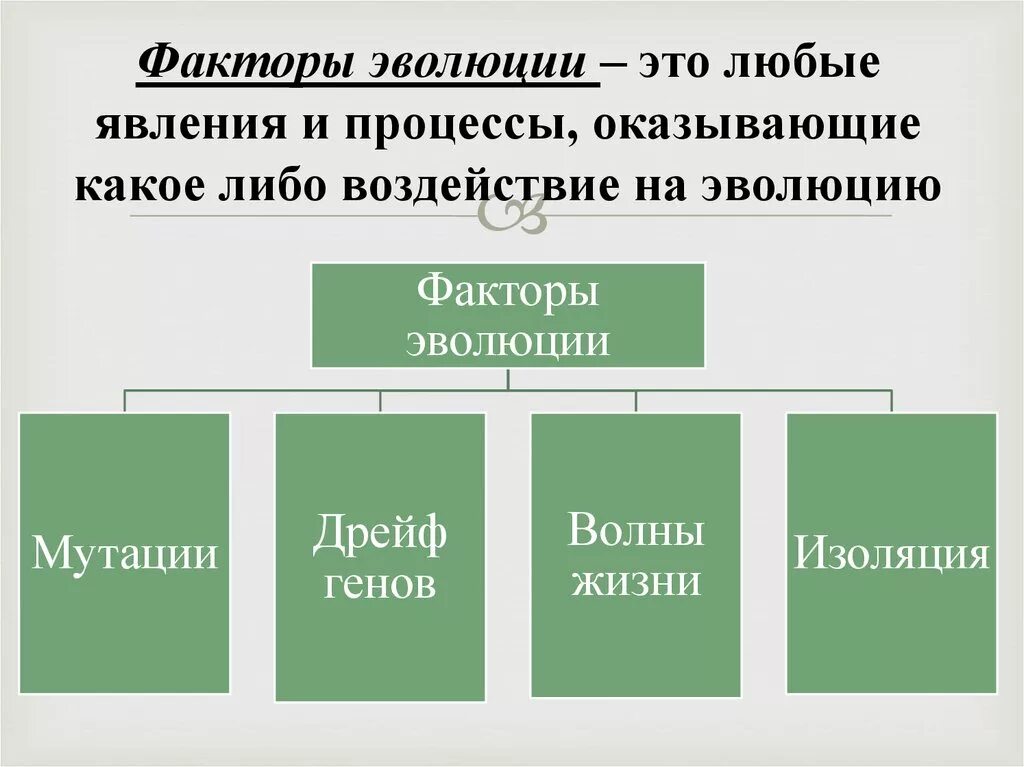 Факторы эволюции. Факторы эволюции таблица. Факторы эволюции схема. Элементарные эволюционные факторы схема. 3 основных фактора развития