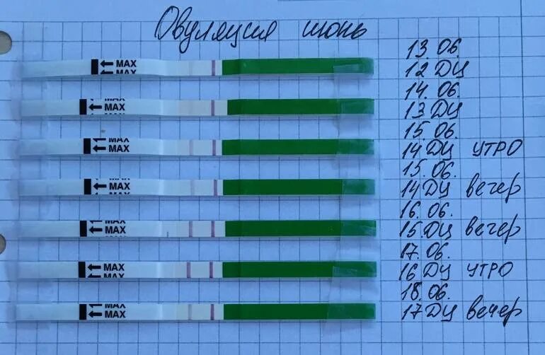 Симптомы овуляции сколько дней. Выделения после овуляции. Выделения при овуляции. Выделения при овуляции по дням цикла.