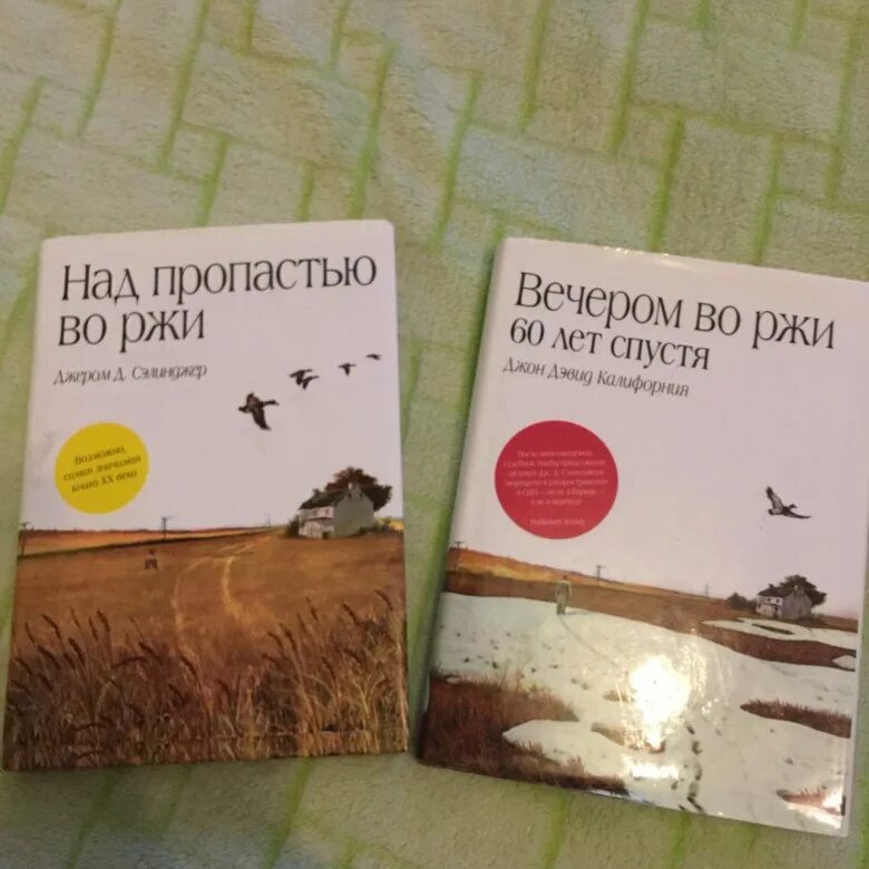 Над пропастью во ржи 8 класс. Над пропастью во ржи. Над пропастью во ржи книга. Над пропастью во ржи обложка книги. Над пропастью во ржи Издательство АСТ.