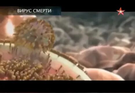 Вирус умри