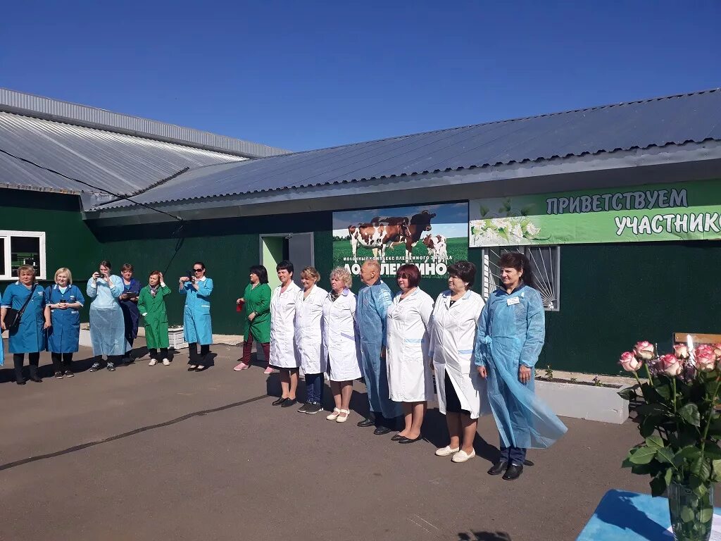 обу сббж. обу сббж. эмблема ветеринара. синий ветеринарный крест. обу сббж.