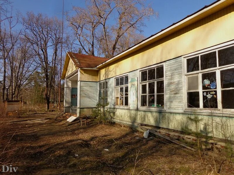 лагерь сестрорецк. лагерь сестрорецк. заброшенный пионерлагерь сестрорецк. лагерь сестрорецк. заброшенный лагерь сестрорецк.