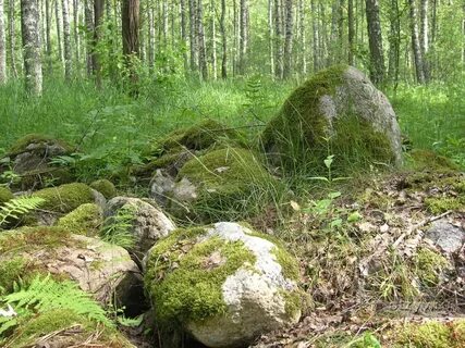 Псковская область ленинградская область
