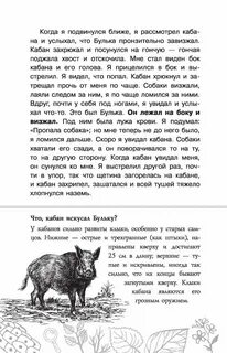 Толстой булька текст полностью