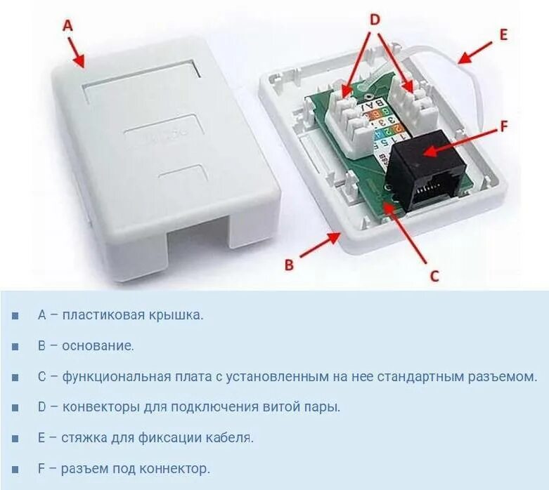 Интернет розетка 8 жил. Расключение кабеля в розетке rj45. Двойная розетка RJ-45 схема подключения. Схема подключения двойной розетки RJ 45 на один кабель. Распиновка сетевой розетки RJ 45.