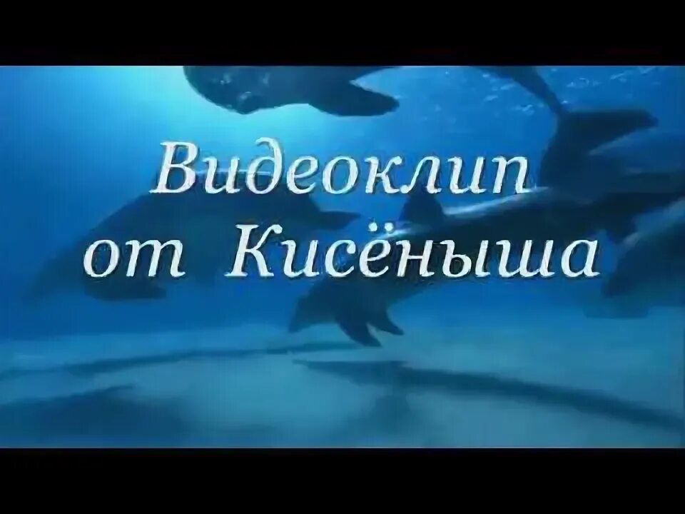 Казан казиев шут. Казан Казиев дельфиненок. Дельфинёнок казан Казиев текст. Петлюра дельфиненок. Казан Казиев в молодости.