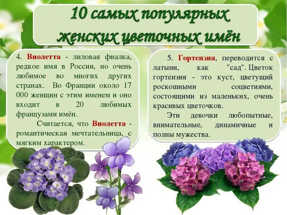 Фиалки обозначение