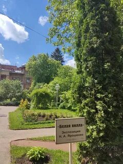 Кисловодск в июне отзывы
