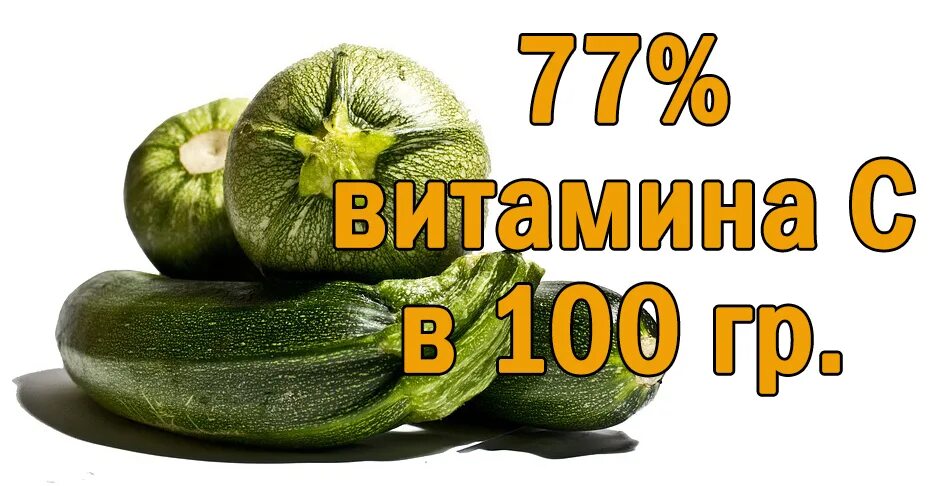 Семечки кабачка польза и вред. Семечки кабачка польза и вред