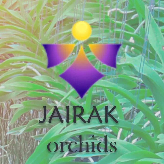 импортфлора