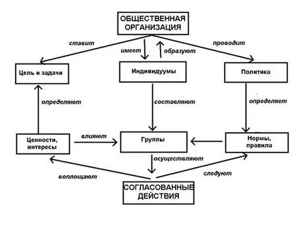 Виды общественных органов управления